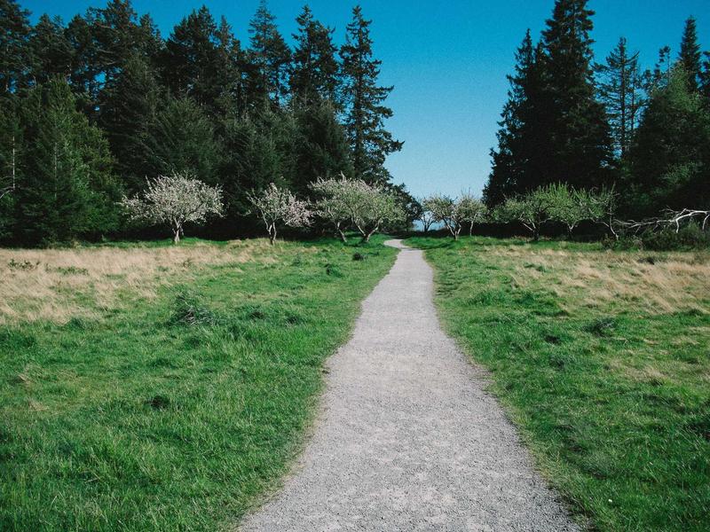 Maison traditionnelle Bota - Limbe