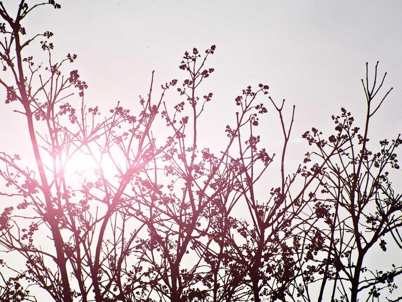 Studio cosy Bépanda - Douala